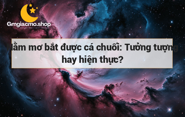 Nằm mơ bắt được cá chuối: Tưởng tượng hay hiện thực?