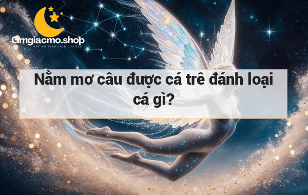 Nằm mơ câu được cá trê đánh loại cá gì?