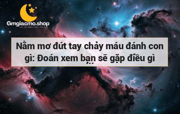 Nằm mơ đứt tay chảy máu đánh con gì: Đoán xem bạn sẽ gặp điều gì trong giấc mơ này?