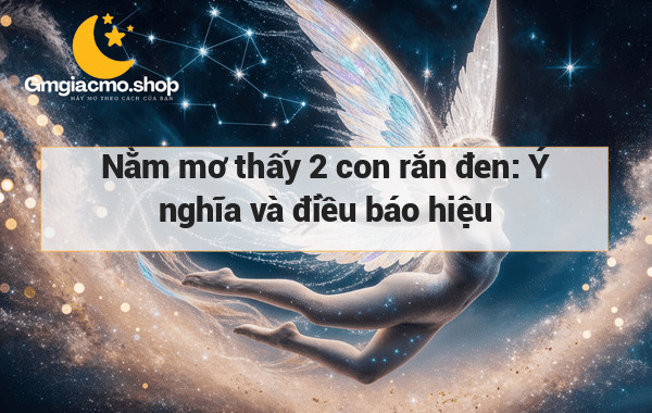 Nằm mơ thấy 2 con rắn đen: Ý nghĩa và điều báo hiệu