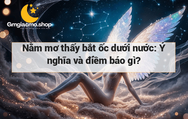 Nằm mơ thấy bắt ốc dưới nước: Ý nghĩa và điềm báo gì?