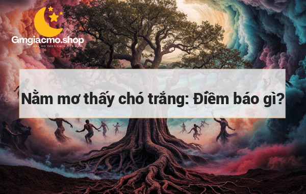 Nằm mơ thấy chó trắng: Điềm báo gì?