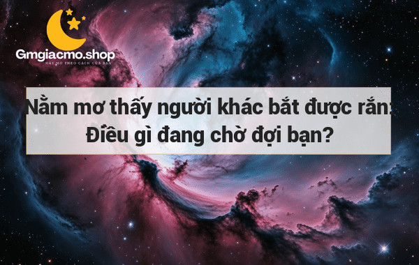 Nằm mơ thấy người khác bắt được rắn: Điều gì đang chờ đợi bạn?