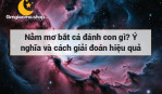 Nằm mơ bắt cá đánh con gì? Ý nghĩa và cách giải đoán hiệu quả