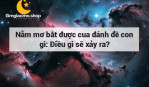 Nằm mơ bắt được cua đánh đề con gì: Điều gì sẽ xảy ra?