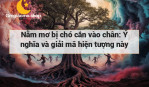 Nằm mơ bị chó cắn vào chân: Ý nghĩa và giải mã hiện tượng này