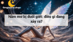 Nằm mơ bị đuổi giết: điều gì đang xảy ra?