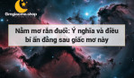 Nằm mơ rắn đuổi: Ý nghĩa và điều bí ẩn đằng sau giấc mơ này