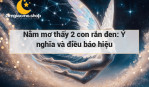 Nằm mơ thấy 2 con rắn đen: Ý nghĩa và điều báo hiệu