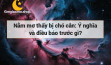 Nằm mơ thấy bị chó cắn: Ý nghĩa và điều báo trước gì?