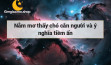 Nằm mơ thấy chó cắn người và ý nghĩa tiềm ẩn