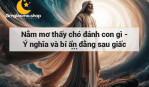 Nằm mơ thấy chó đánh con gì - Ý nghĩa và bí ẩn đằng sau giấc mơ