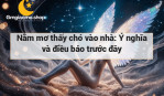 Nằm mơ thấy chó vào nhà: Ý nghĩa và điều báo trước đây