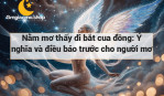 Nằm mơ thấy đi bắt cua đồng: Ý nghĩa và điều báo trước cho người mơ