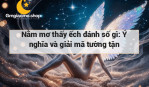 Nằm mơ thấy ếch đánh số gì: Ý nghĩa và giải mã tường tận