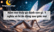 Nằm mơ thấy gà đánh con gì: Ý nghĩa và bí ẩn đằng sau giấc mơ này