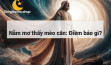 Nằm mơ thấy mèo cắn: Điềm báo gì?