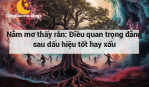 Nằm mơ thấy rắn: Điều quan trọng đằng sau dấu hiệu tốt hay xấu