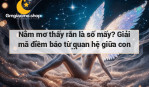 Nằm mơ thấy rắn là số mấy? Giải mã điềm báo từ quan hệ giữa con người và thú rắn