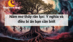 Nằm mơ thấy rắn lục: Ý nghĩa và điều bí ẩn bạn cần biết