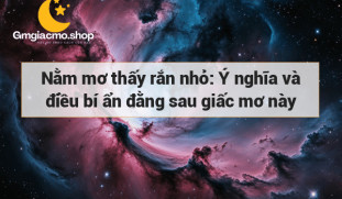 Nằm mơ thấy rắn nhỏ: Ý nghĩa và điều bí ẩn đằng sau giấc mơ này