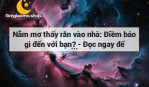 Nằm mơ thấy rắn vào nhà: Điềm báo gì đến với bạn? - Đọc ngay để hiểu rõ