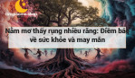 Nằm mơ thấy rụng nhiều răng: Điềm báo về sức khỏe và may mắn