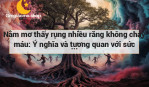 Nằm mơ thấy rụng nhiều răng không chảy máu: Ý nghĩa và tương quan với sức khỏe